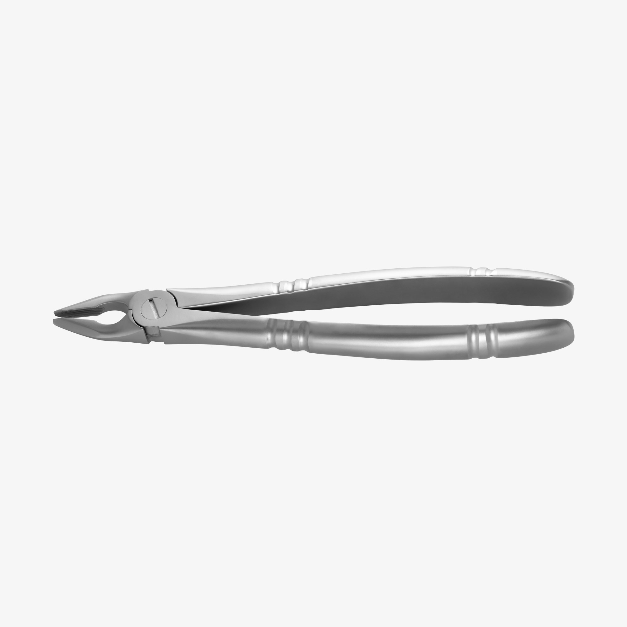 DawnProMed Dental Extracting Forceps #101 – Upper & Lower Premolars, Non-Serrated Jaws, German Pattern, Surgical Grade